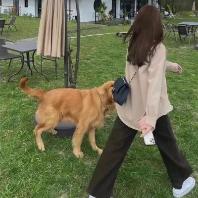 女人,你自由了海报